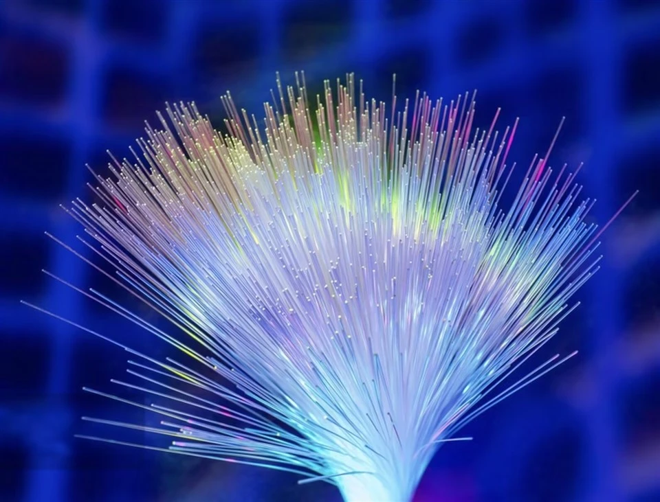 Fiber G652D
